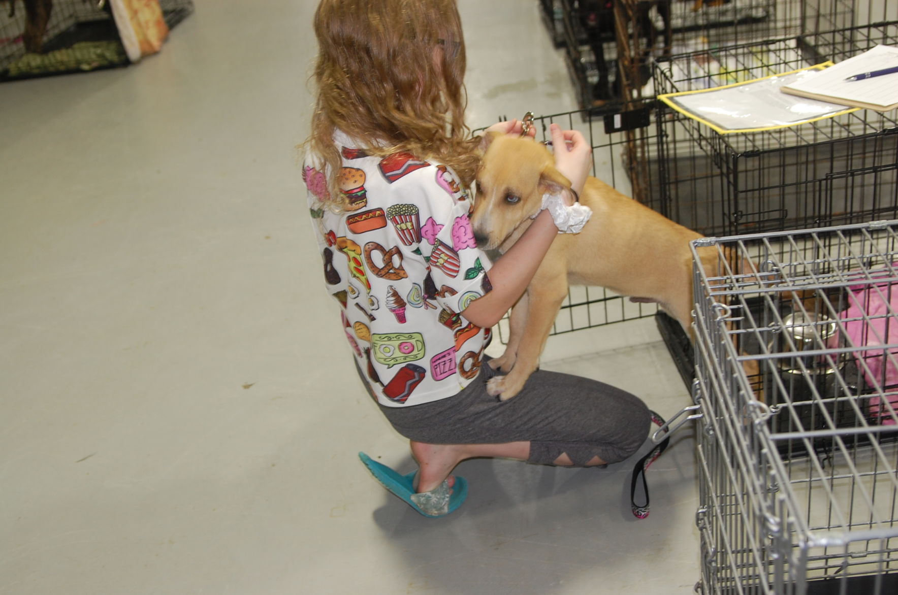 Piedmont animal rescue (15).JPG